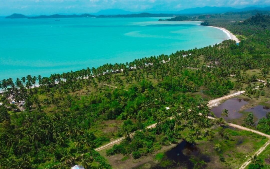 San Vicente Palawan Second Lot for Sale